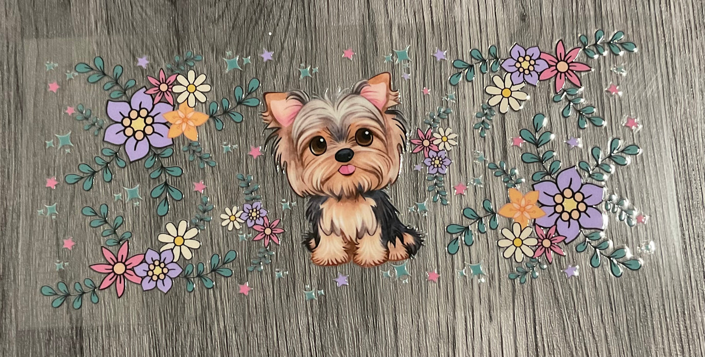 #402 Yorkie