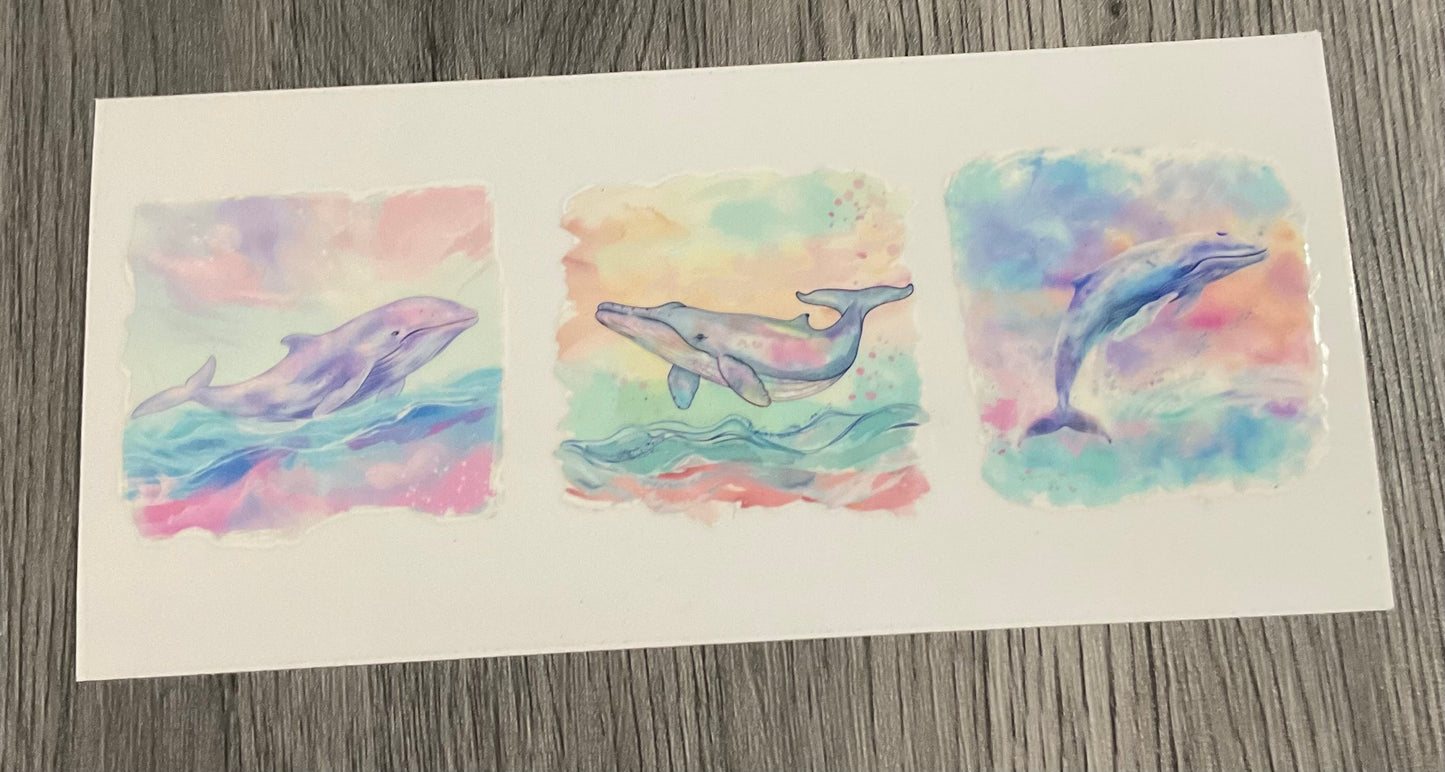 #405 Whale, dolphin