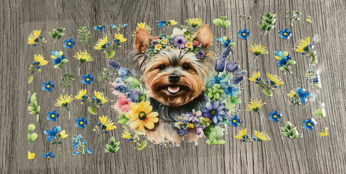 #401 Yorkie