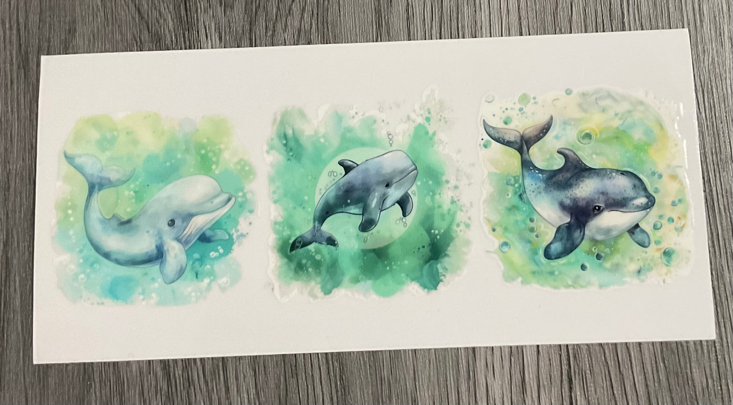 #432 Whales
