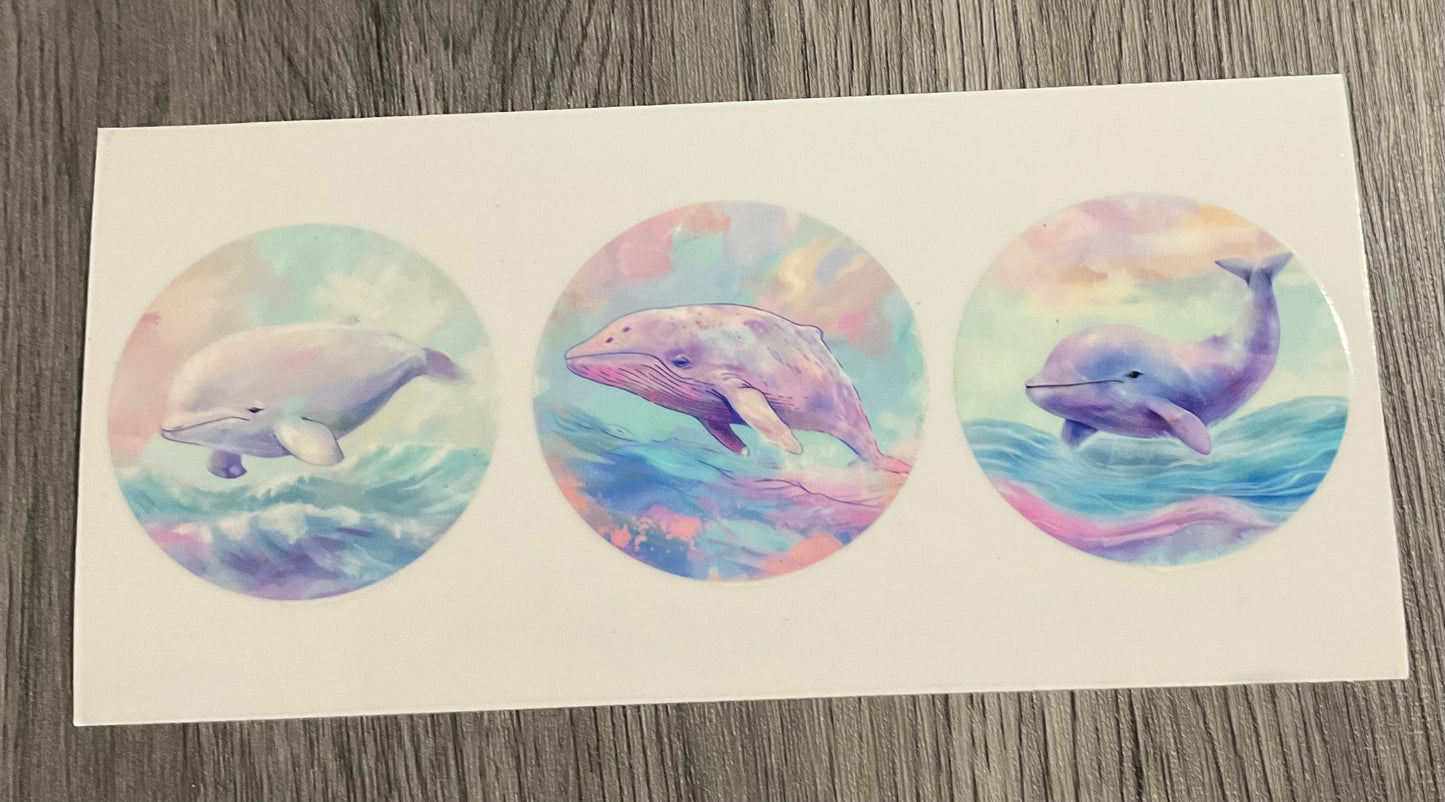 #406 Whales