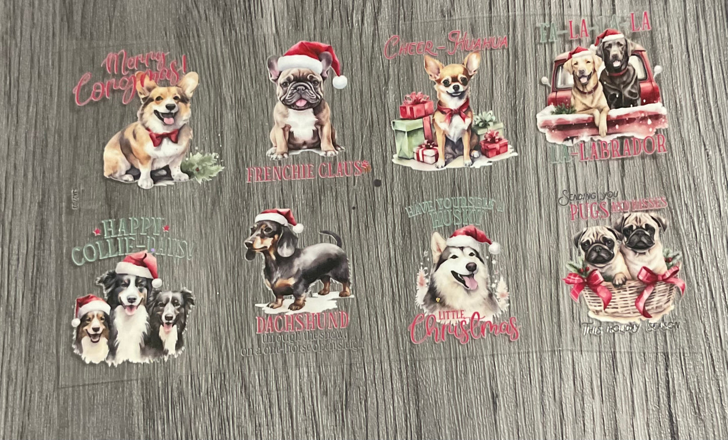 #379 dogs w/santa hats