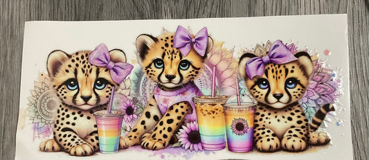 #394 Baby leopards