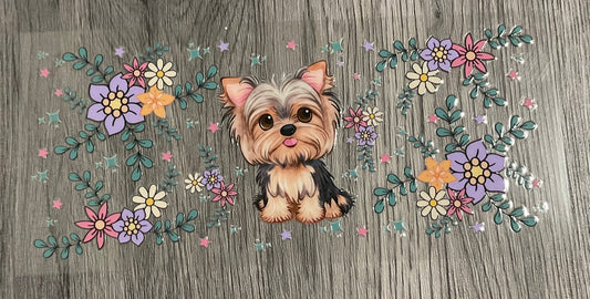#402 Yorkie