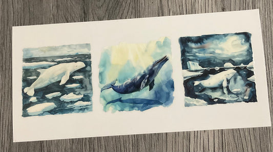 #417 Whales