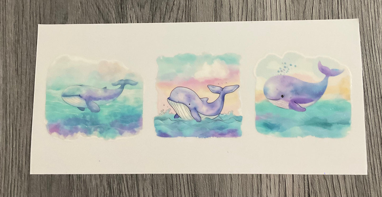 #418 Whales