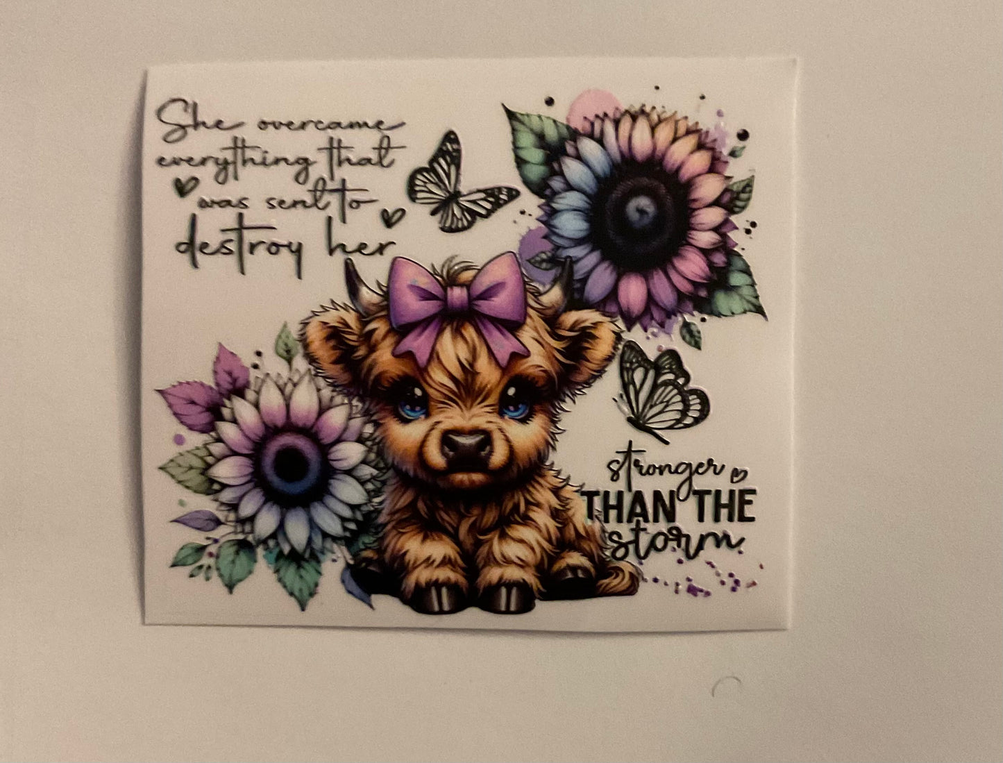 #265 Highland cow. She overcame everything that was meant to destroy her. Stronger than the storm.