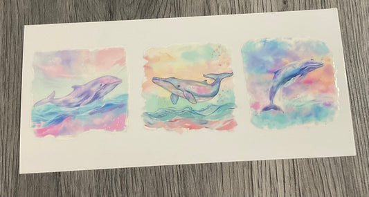 #405 Whale, dolphin