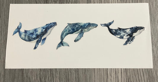 #408 Whales
