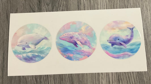 #406 Whales