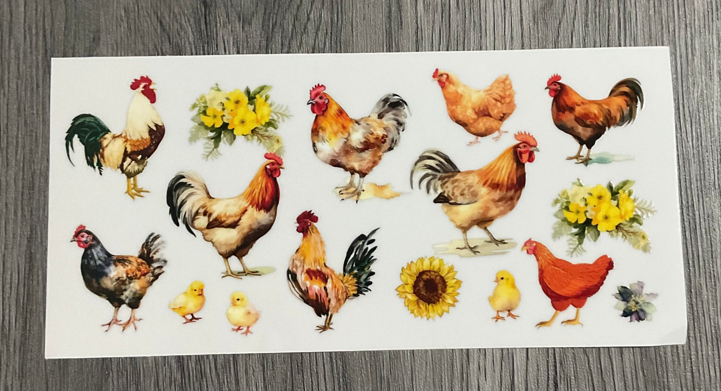 #427 Rooster Chickens