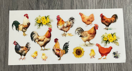 #427 Rooster Chickens