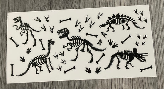 #414 Dino Skeleton